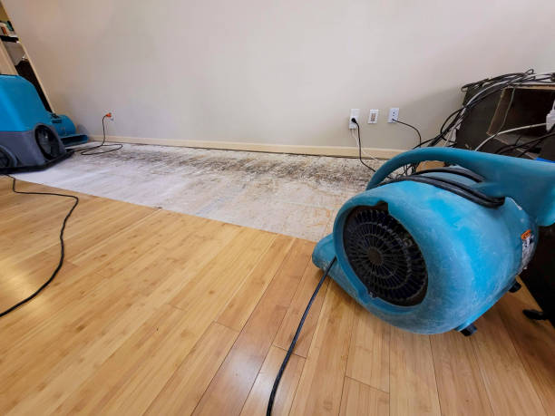 Professional Ceiling Water Damage Repair technician working in Chester, SD